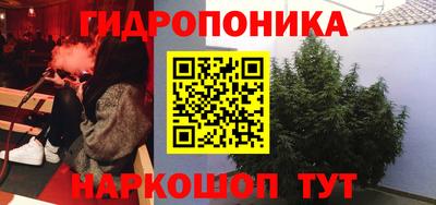 эйфоретик Камышлов