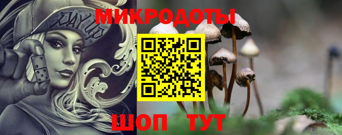Псилоцибиновые грибы прущие грибы Красноярск